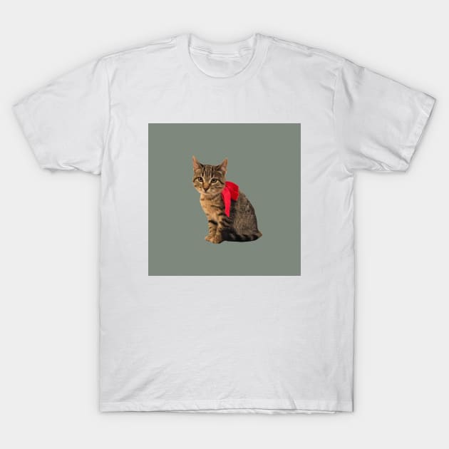 Kitty T-Shirt by NV